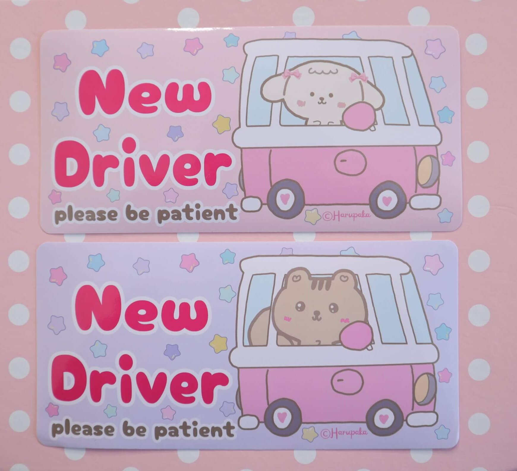 Kawaii Squirrel New Driver Car Sticker - Waterproof UV Resistant Decal - Image 4