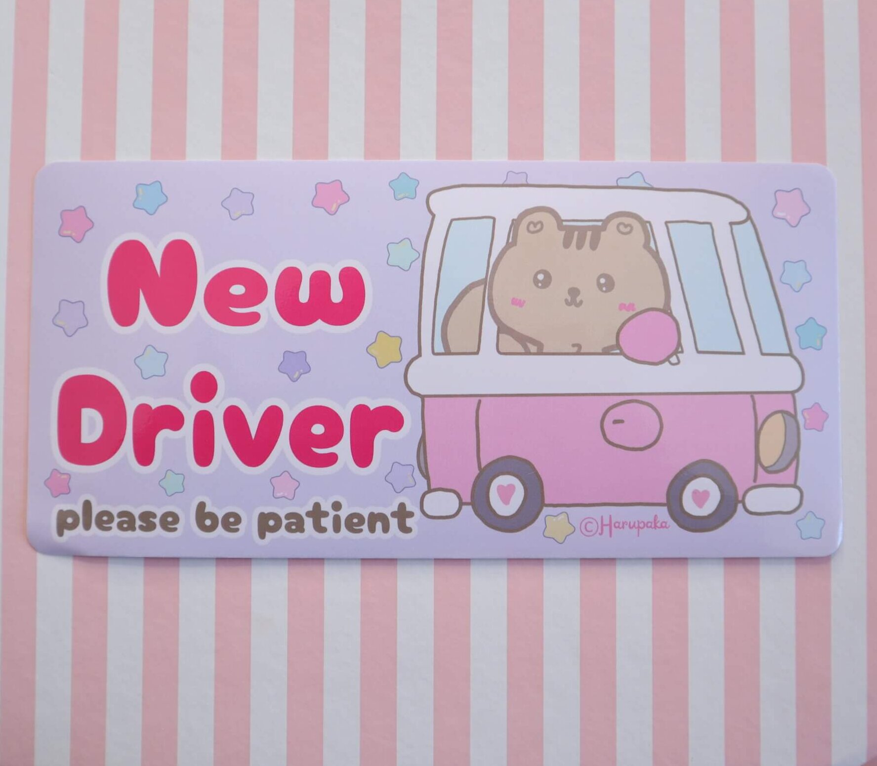 Kawaii Squirrel New Driver Car Sticker - Waterproof UV Resistant Decal - Image 2