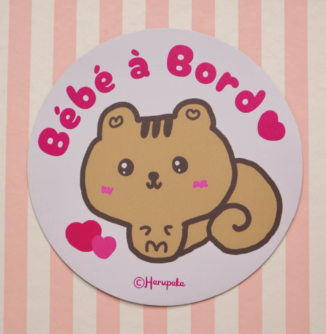 Bébé à Bord Car Magnet, Cute Squirrel Baby on Board Sign in French, Quebec Car Accessory, Safety Magnet for Parents